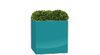 Turquoise Cube