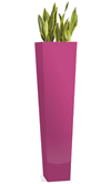 Pink Tall Vase
